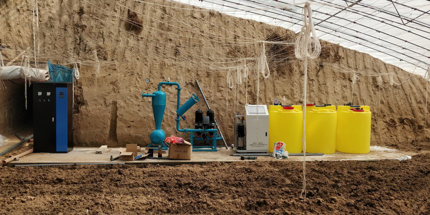 南京六合区苗木项目