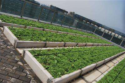 深圳科技示范园项目