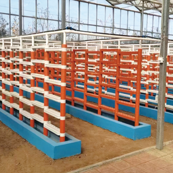 山东青岛无土栽培技术